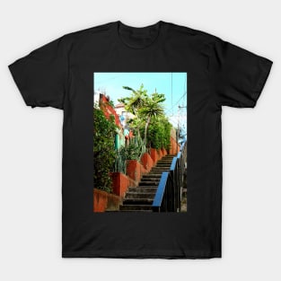 Escalier à Guanajuato T-Shirt